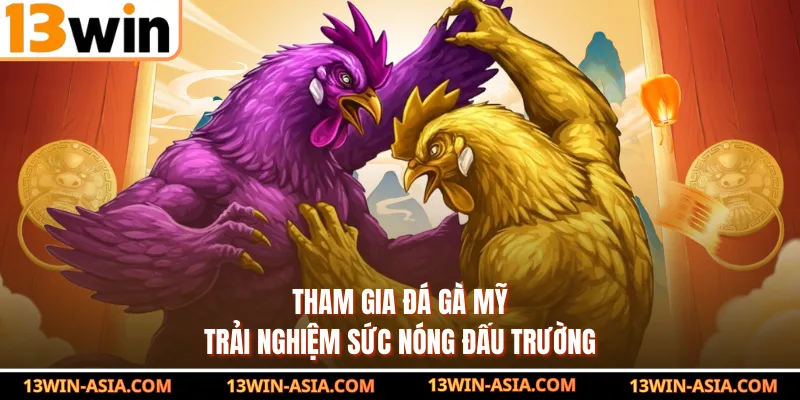 Tham gia đá gà Mỹ trải nghiệm sức nóng đấu trường