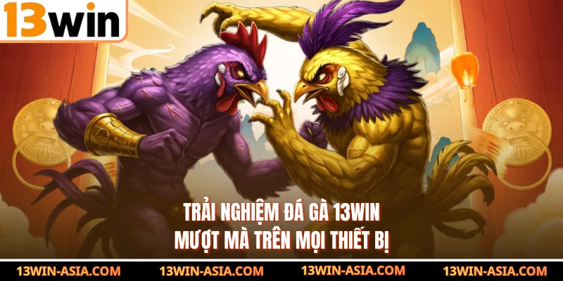 Trải nghiệm đá gà 13Win mượt mà trên mọi thiết bị